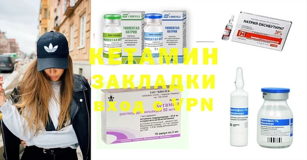 молекула духа Снежногорск