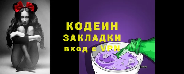 молекула духа Снежногорск